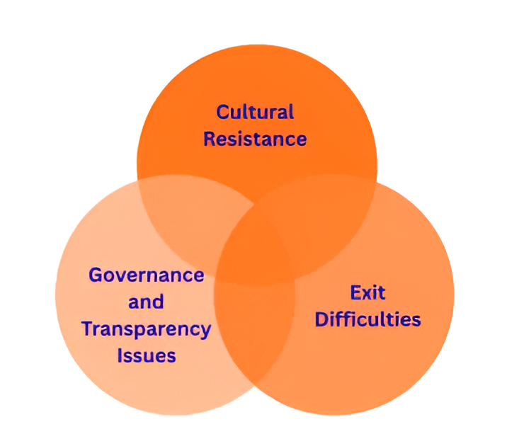 Venn diagram depicting key private equity risks in family-owned businesses, including cultural resistance, governance and transparency issues, and exit difficulties.