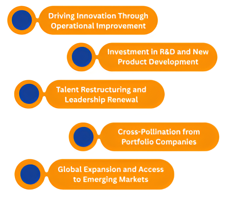 Private equity value creation strategies infographic showing operational improvement, R&D investment, leadership renewal, portfolio collaboration, and global expansion.