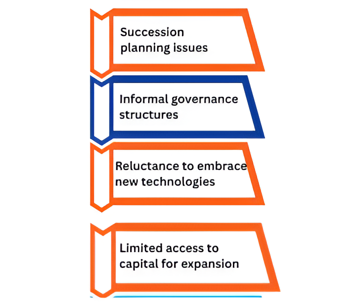 Family-owned business barriers visual highlighting governance gaps, reluctance to adopt new technologies, and capital access limitations.