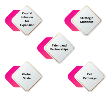 Private equity benefits infographic showing capital infusion for expansion, strategic guidance, talent and partnerships, global scale, and exit pathways.