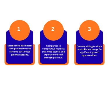 Private equity suitability criteria showing established businesses with proven revenue, companies in competitive markets seeking growth capital, and owners open to shared control for expansion.