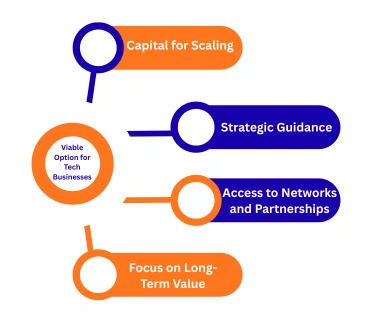 Infographic showing private equity as a viable option for tech businesses, offering capital for scaling, strategic guidance, access to networks and partnerships, and a focus on long-term value creation.